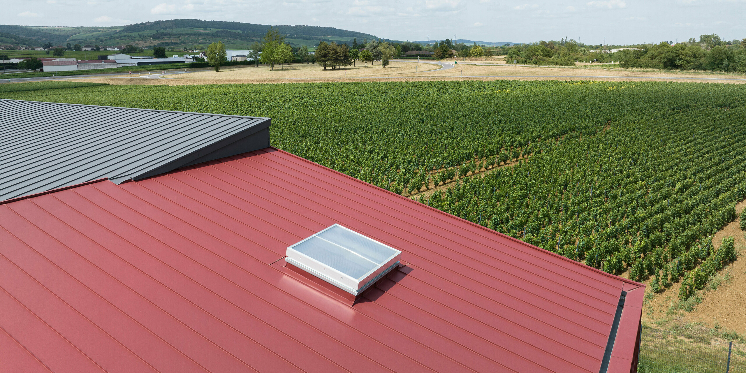 Das Bild zeigt eine ländliche Szenerie mit Fokus auf ein Aluminiumdach in zwei verschiedenen Farben. Auf dem oxydroten Teil des Daches ist ein Dachfenster installiert, was auf eine darunterliegende bewohnbare Raumstruktur hinweist. Der dunkelgraue Bereich des Daches ist am linken Bildrand eher klein gehalten. Im Hintergrund sieht man landwirtschaftliche Flächen eines Weinfeldes. Die Bildkomposition zielt darauf ab, die Integration von modernen Dachsystemen aus Aluminium in ländliche Umgebungen zu zeigen.