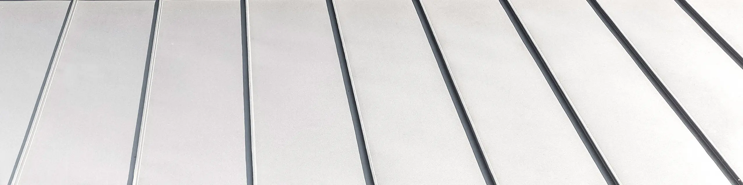 Detailafbeelding van het elegante Prefalz dak