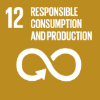 Sustainable Development Goal nr. 12: Verantwoorde consumptie en productie