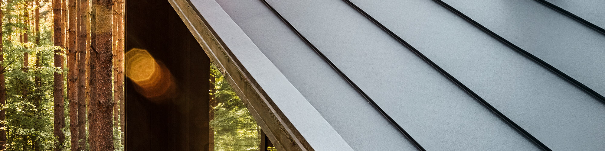 Un extrait de la cabane dans la forêt, montrant partiellement la vitrerie et le toit en aluminium.