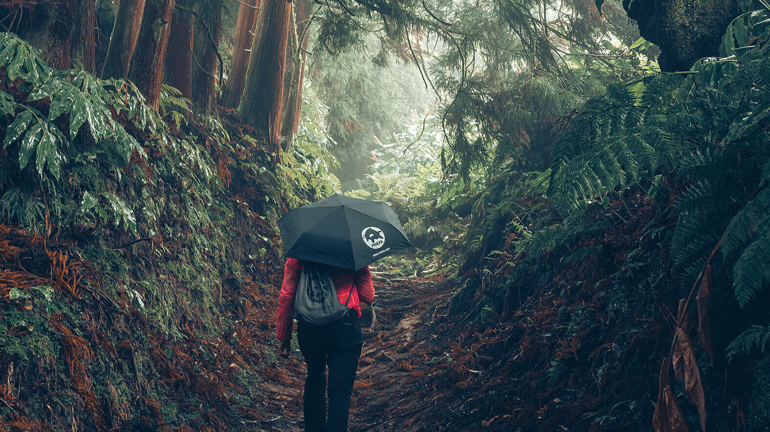 Aufnahme im Wald mit Wanderin in roter Jacke mit PREFA Regenschirm und Turnbeutel, symbolisiert den PREFA Umweltschutz und Nachhaltigkeit, sowie die Kreislaufwirtschaft und Recycling