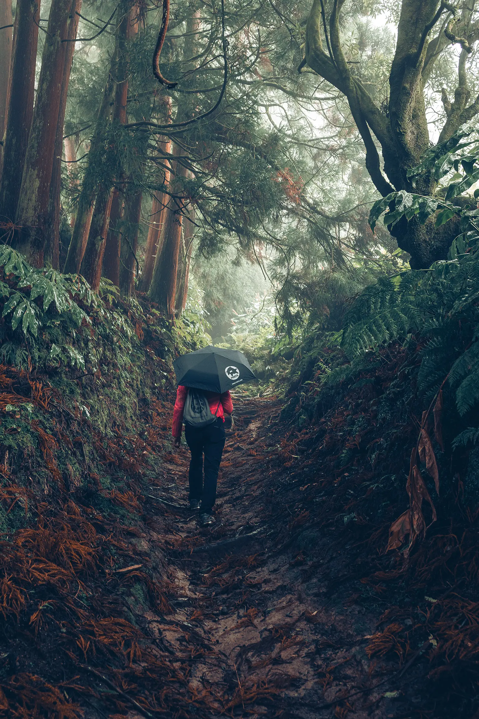 Afbeelding in het bos met wandelaar in rode jas met PREFA paraplu en sporttas, symboliseert zowel PREFA milieubescherming en duurzaamheid als circulaire economie en recycling