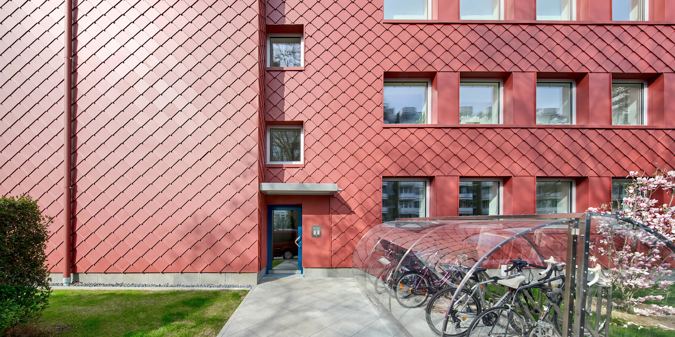 Ausdrucksstarke Fassadengestaltung beim Sanierungsprojekt „Energiesprong 2426“ in Köln-Zollstock: PREFA Wandrauten 29 × 29 in P.10 Oxydrot begeistern mit lebendigem Rautenmuster und faszinierenden Lichtreflexionen. Geometrische Fensterbänder, ein farblich abgestimmtes PREFA Ablaufrohr und blühende Magnolien setzen spannende Akzente. Die leichte, langlebige und witterungsbeständige Aluminiumfassade vereint modernes Design mit geringem Wartungsaufwand.